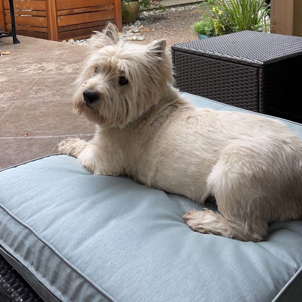 Meet your Posher, Madison